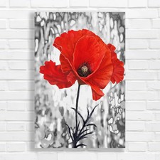 Vibrant red poppy - red, original