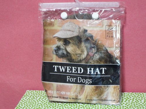 Bnip tweed dog hat - bnip,