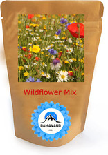 1500 seeds mix Wild Flower