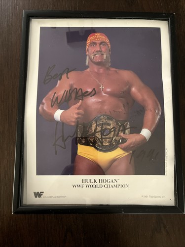 Wwf hulk hogan - hulk,