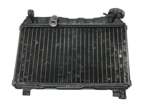 Suzuki 125 water radiator - rg,