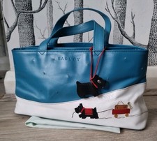 Beautiful Radley Explorer