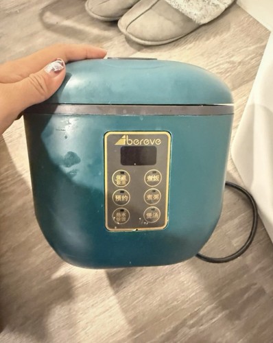 Chinese rice cooker - chinese,
