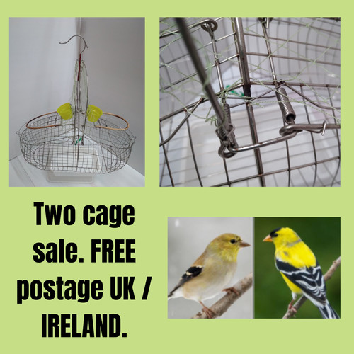 Goldfinch live bird trap - goldfinch,