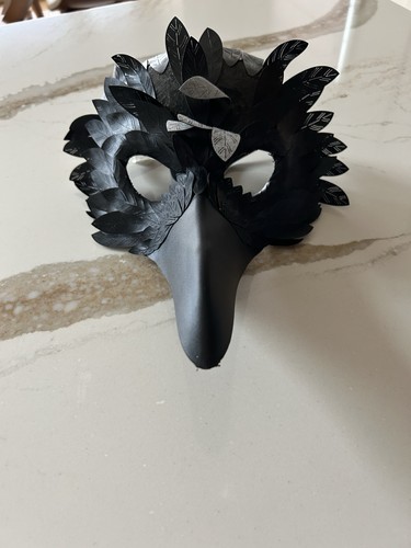 Raven crow bird mask black - bird,