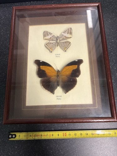 Vintage mounted framed - mounted,