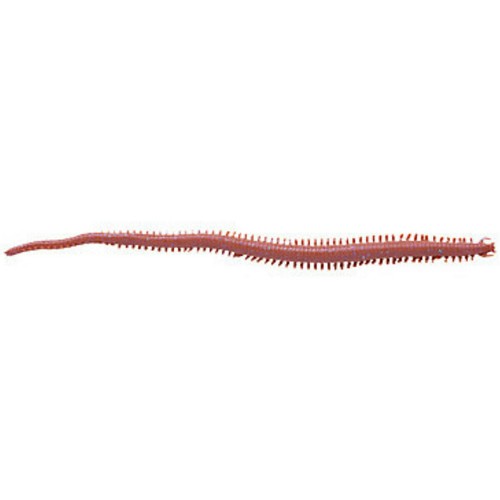 Berkley gulp sandworm - berkley, gulp!