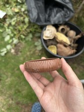 Reptiles Log Feeding Dish Invertebrates Tarantulas Decorations Pets Food Live