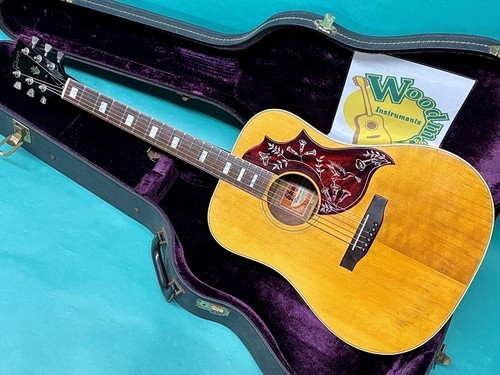 Gibson hummingbird - gibson, nt