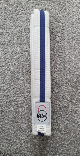 Jiu jitsu martial - martial, belt