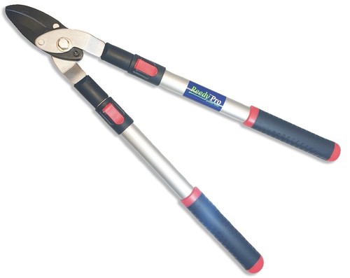 Tree garden loppers - garden,