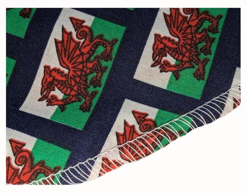 Childs wales flag welsh sports - childs,