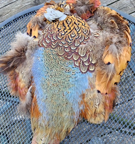 Ringneck pheasant pelt fly - ringneck,