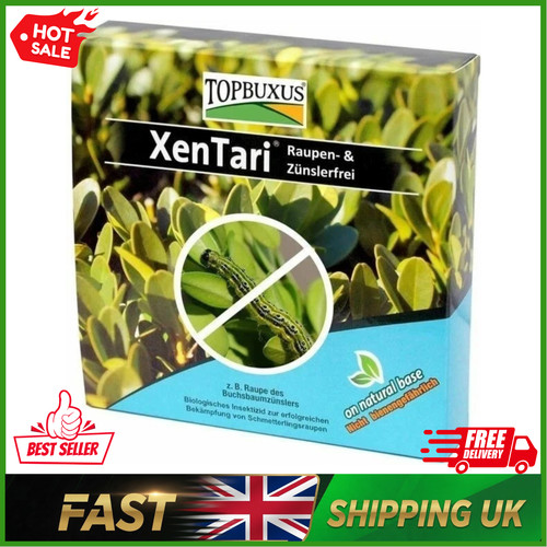 Topbuxus xentari boxwood - xentari,