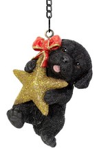 Vivid Arts Hanging Mini Star