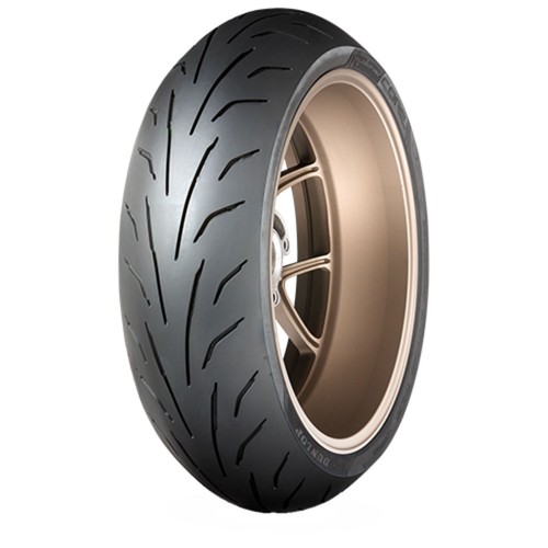 160 zr17 dunlop - 160/60, (69w)
