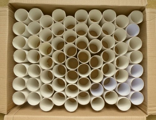 Empty toilet roll - toilet,