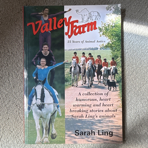 Sarah ling valley farm 25 - valley, farm: