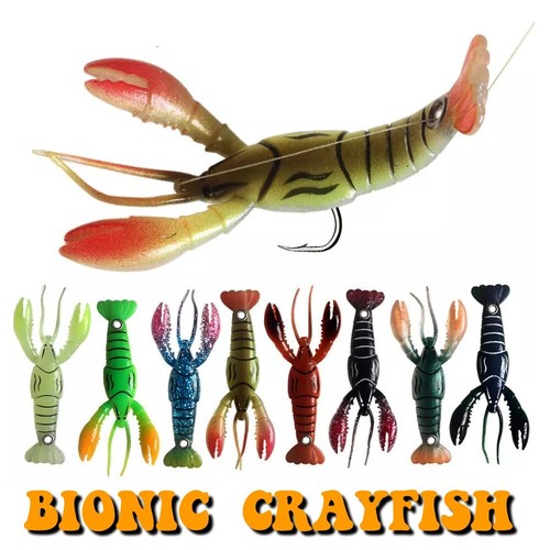 Crayfish drop shot - crayfish, fishing