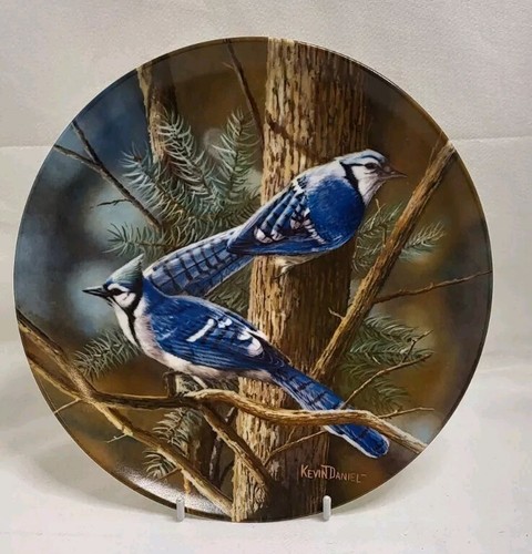 Knowles the bluejay - knowles, bluejay"