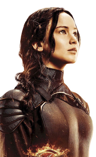 Katniss everdeen vinyl car - katniss,