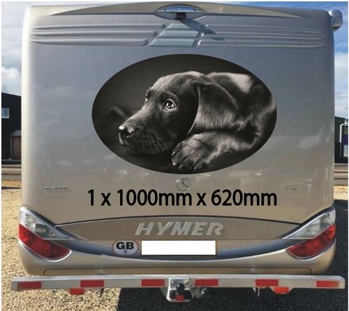 Black labrador 1000mm - black, graphics
