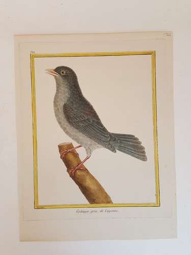 Antique 1765 hand colored