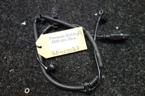 Kawasaki 650 2020 - 650, abs
