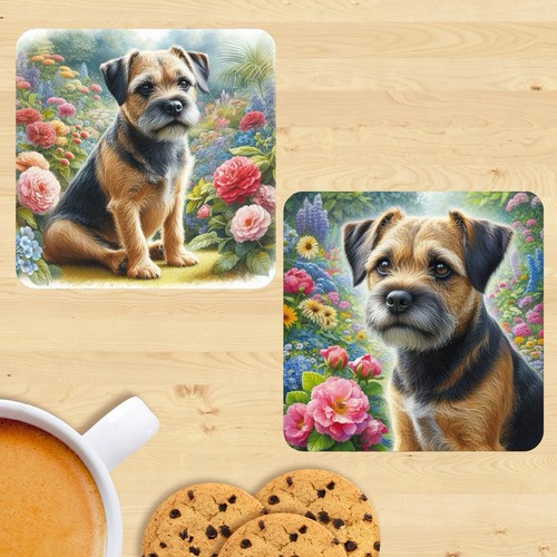 Border terrier dog - terrier, coasters