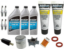 Oil Impeller Plugs & Filter