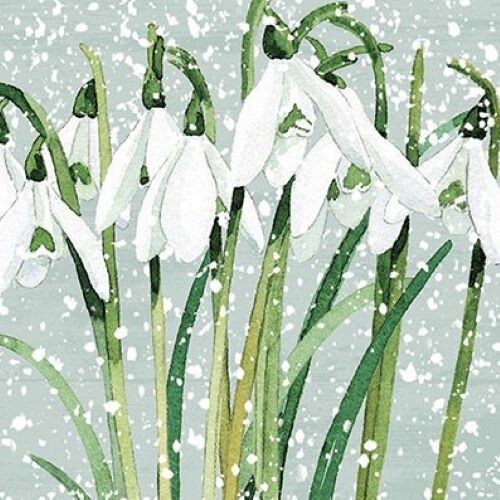 Christmas cards pack - cards,