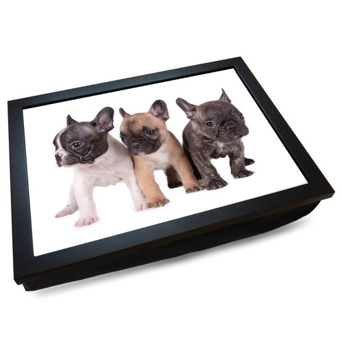 Deluxe cushioned lap tray - tray, |