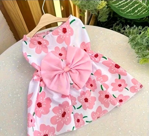 Cute small dog dress with - dog,