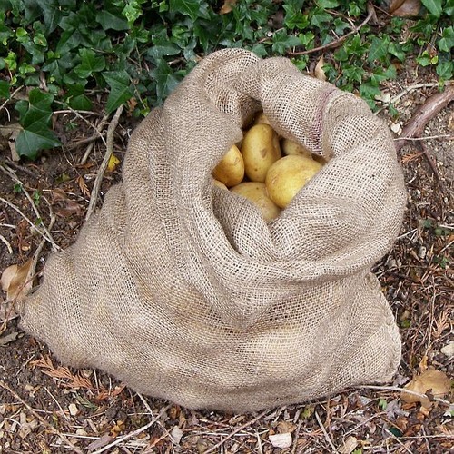 Hessian sacks jute potato - ,