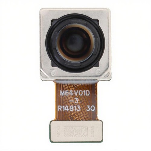 Replacement main back - main,