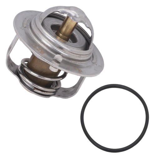 New thermostat ring - thermostat, o-ring