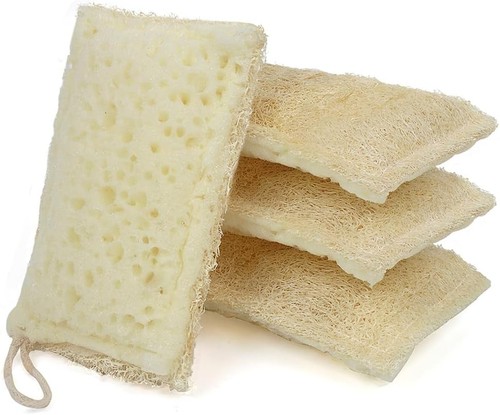 Seep eco sponges - seep,