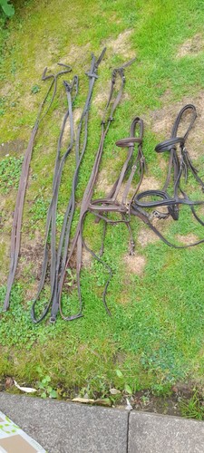 Equestrian joblot uk - equestrian, post