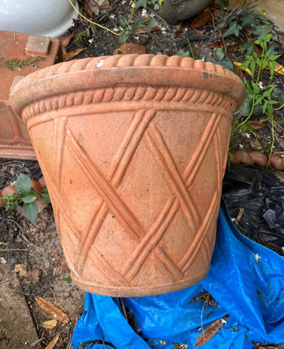 Large 41cm terracotta - ,