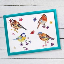 British Birds Cushioned Lap