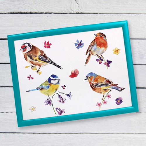 British birds cushioned lap - cushioned,