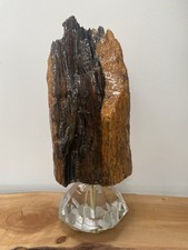 Large SUPERB Driftwood  Bark
