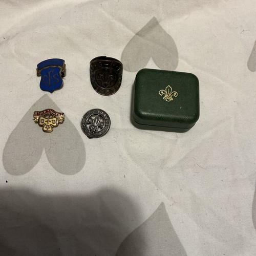 Scout girl guide badges - /girl,
