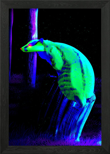 Retro badger framed wall - retro,
