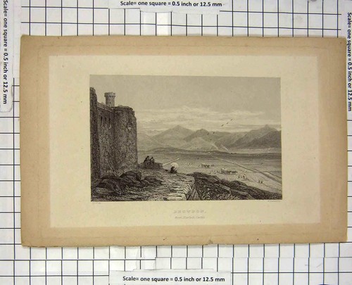 Original old antique print - original,