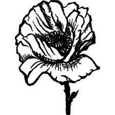 'Poppy' Unmounted Rubber Stamp