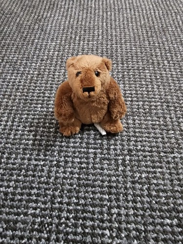Teddy bear john west - john,