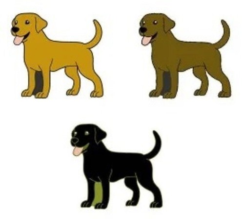 Labrador pin badges cartoon - badges.,