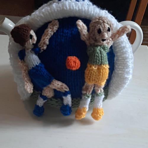 Handmade wool knitted tea - wool,