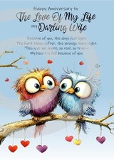 NEW Happy  Anniversary To My Darling Wife A5 Card Love Wedding Anniversary